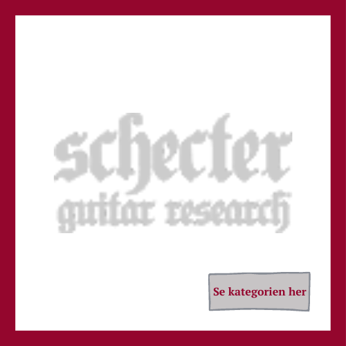 schecter sneakers