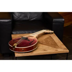 Ortega RMAE200PF Americana Serie A-style Mandolin m/mikkrofon inkl. kuffert (Flamed Maple/Mahogany purple fade)