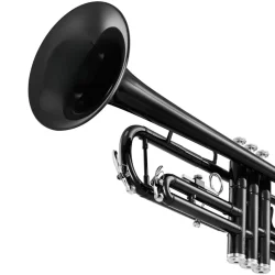 Eastar ETR-380 Bb Standard Begynder Trumpet inkl. kuffert &amp; tilbeh�r (Sort)