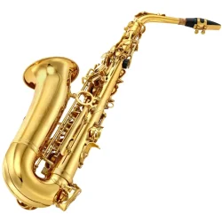 Eastar AS-Ⅱ Student Alto Saxofon (E♭-stemning) inkl. kuffert, stativ &amp; tilbeh�r 