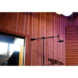 sE Electronics X1-S Stormembran Kondensator Mikrofon