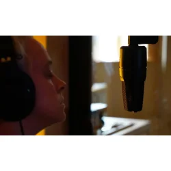 sE Electronics X1-S Stormembran Kondensator Mikrofon