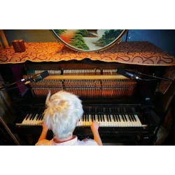 sE Electronics X1-S Stormembran Kondensator Mikrofon