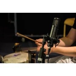 sE Electronics 2300 Multi-Pattern Stormembran Kondensator Mikrofon m/shock mount &amp; pop-filter 