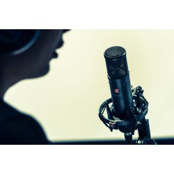 sE Electronics 2300 Multi-Pattern Stormembran Kondensator Mikrofon m/shock mount &amp; pop-filter 