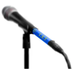 sE Electronics DM2 Omskiftelig In-line Preamp/Forforst�rker