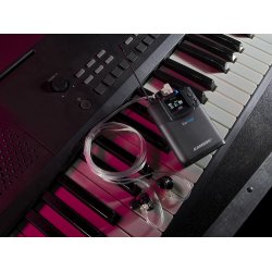 Samson EarAmp EWM100 Tr�dl�s Stereo In-ear Monitor System 