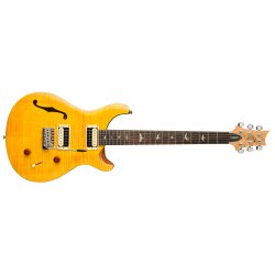 PRS SE Custom 22 Semi-Hollow elektrisk guitar