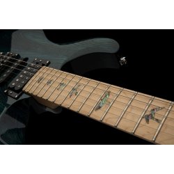 PRS SE Swamp Ash Special - Iridicent Blue Elektrisk Guitar