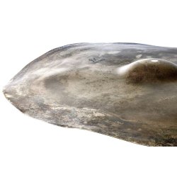 Zildjian FX Raw Crash - Stor klokke