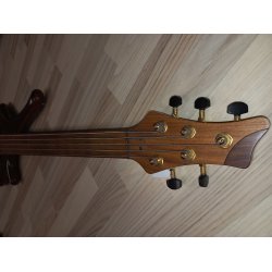 Brugt Marleaux Diva fretless 5-strenget el bas