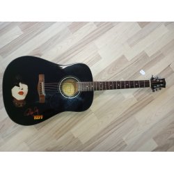 Brugt Silvertone PS D1 BK Paul Stanley Dark Star Western Guitar