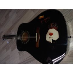 Brugt Silvertone PS D1 BK Paul Stanley Dark Star Western Guitar