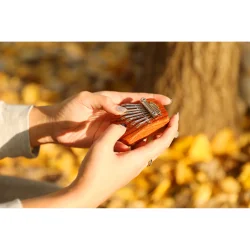 Meinl Sonic Energy KL802FOL Solid Mini Flower Of Life Kalimba C Dur 8 Noder (R�dt Zebratr�) 