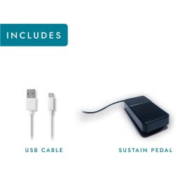 Carry-on fra Blackstar FP49T - Folding Piano 