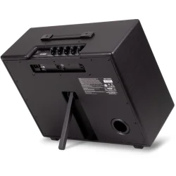 Blackstar Artist FR Special FRFR 100W 1�12&Prime; Guitar H�jttaler Kabinet (Full Range, Flat Response)