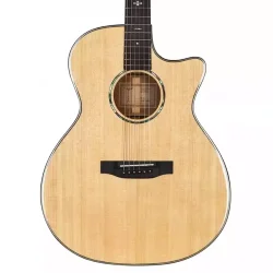 Tyma TG-10E Western Guitar inkl. kraftig transporttaske &amp; rem