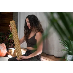 Meinl Sonic Energy RS2M Syntetisk Rattan Regn Stick (24" / 61 cm)