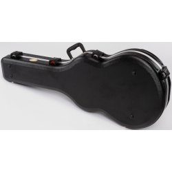 Ibanez Kasse ABS Elguitar Semi AS