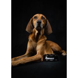 Ibanez IBWL001 Ibanez logo tilbeh�rssk�l