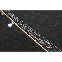 Ibanez B200 5-strenget banjo 
