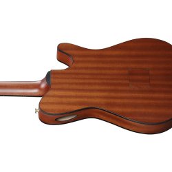 Ibanez FRH10NL-BSF FRH Serien Nylon Klassisk Guitar m/mikrofon Venstreh�nd (Brown Sunburst Flat)