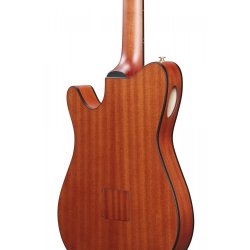 Ibanez FRH10N-RGF Thin body Nylonstrenget Guitar m/mikrofon