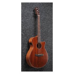 Ibanez AEG220-LGS western guitar m/pickup