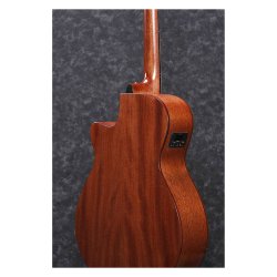 Ibanez AEG220-LGS western guitar m/pickup