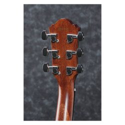 Ibanez AEG220-LGS western guitar m/pickup