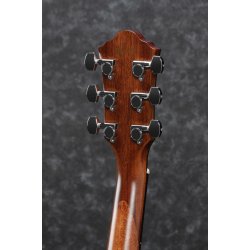 Ibanez AEG200-LGS western guitar m/pickup