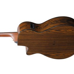 Ibanez AEG74-MHS western guitar m/pickup