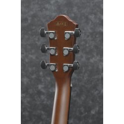 Ibanez AEG70-TCH Western guitar med pickup