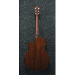 Ibanez AEG50-IBH Western guitar med mikrofon