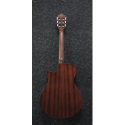 Ibanez AEG50N-NT Klassisk Guitar m/mikrofon