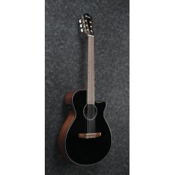 Ibanez AEG50N-BKH Klassisk Guitar m/mikrofon