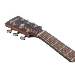 Ibanez AW65-LG western guitar