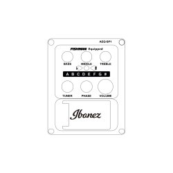  Ibanez AEWC11-DVS Western guitar med pickup