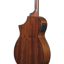  Ibanez AEWC11-DVS Western guitar med pickup