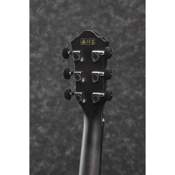 Ibanez AEWC400-TKS Western guitar med pickup