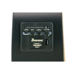 Ibanez AEWC621-BOT AEWC Serien Western Guitar m/mikrofon (Black Out) 