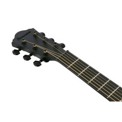 Ibanez AEWC621-BOT AEWC Serien Western Guitar m/mikrofon (Black Out) 