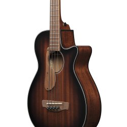 Ibanez AEGB24E-MHS bas med pickup