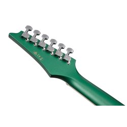 Ibanez ALT30-JGM western guitar m/pickup