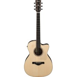 Ibanez ACFS580CE-OPS Western Fingerstyle Guitar m/pickup inkl. etui