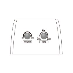 Ibanez AAD190CE-OPN Western guitar med pickup