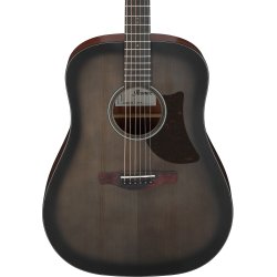 Ibanez AAD50-TCB western guitar m/mikrofon