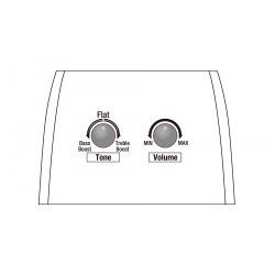 Ibanez AAM300CE-NT Advanced Auditorium Western Guitar m/mikrofon 