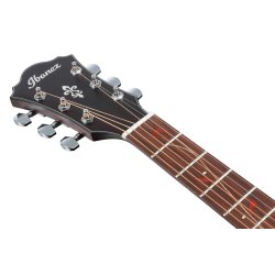 Ibanez AE275-DBF western guitar m/pickup