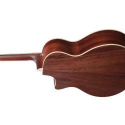 Ibanez AE200JR-DBF Junior Western Guitar m/mik inkl. taske 